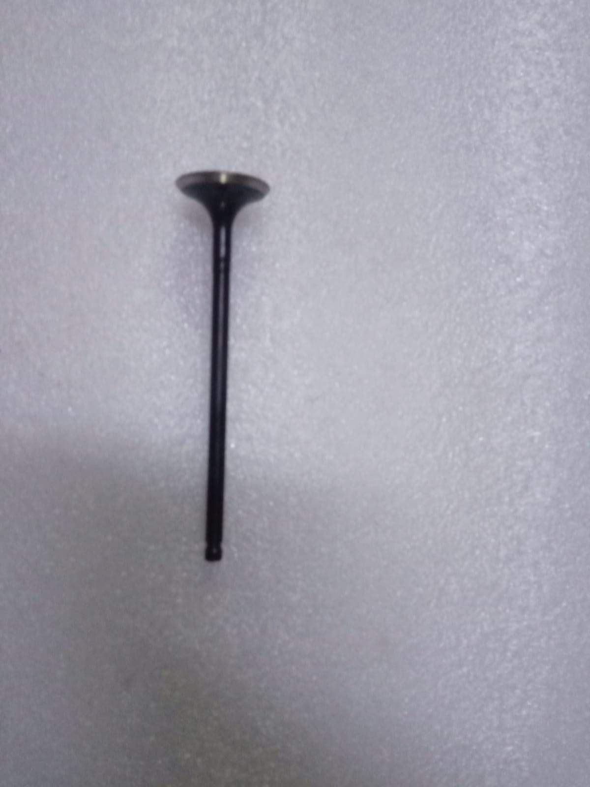 132024LA0A  Exhaust Valve Datsun Go