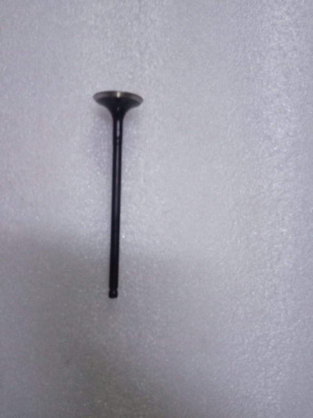 132024LA0A  Exhaust Valve Datsun Go