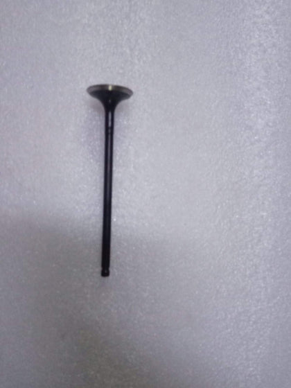 132024LA0A  Exhaust Valve Datsun Go