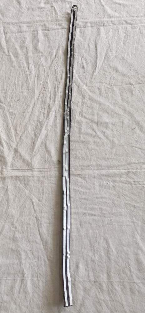 S92086729   Narrow Moulding Corsa Rear Door