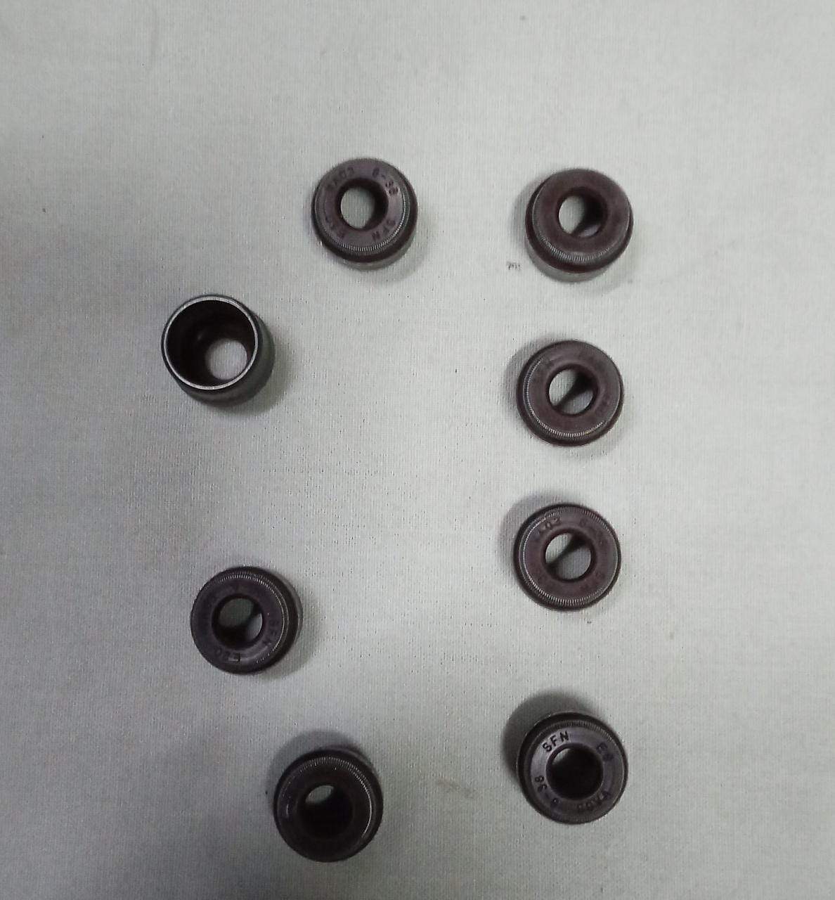 J55570485  Oil Stem Seal Beat