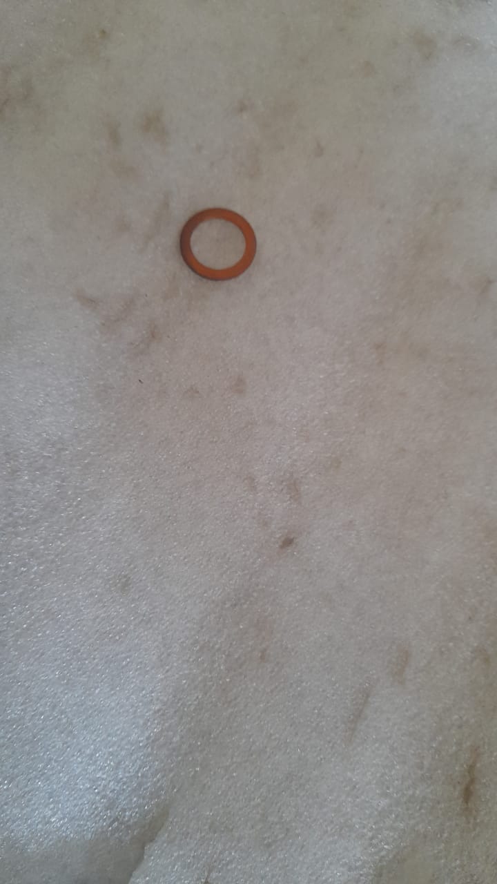 2091046   Seal Ring Astra