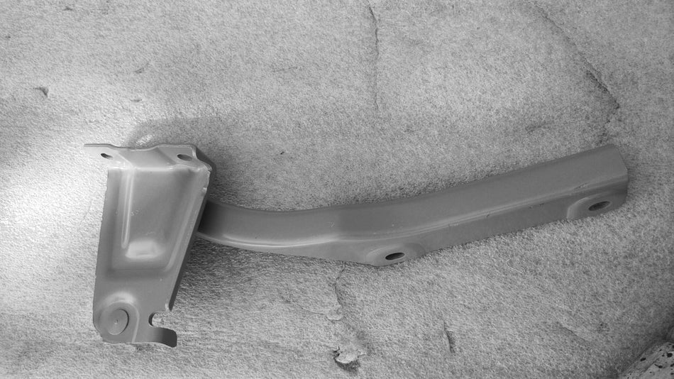 HINGE COMPFRONT HOODL 57420M76M00