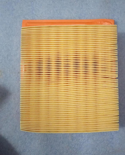 AF4153PU  Air Filter Wagnor Type1