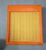 AF4153PU  Air Filter Wagnor Type1